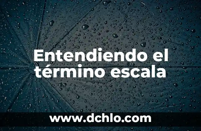 Reglamentos: Entendiendo su Significado y Aplicación 3 Entendiendo el término escala