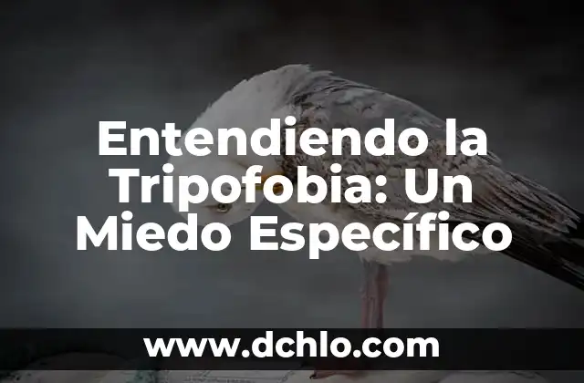 Significado de Fiaca: Entendiendo un Término Argentino 6 Entendiendo la Tripofobia: Un Miedo Específico