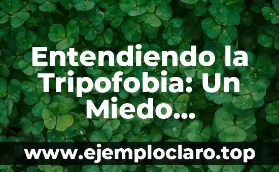 Entendiendo la Tripofobia: Un Miedo Específico