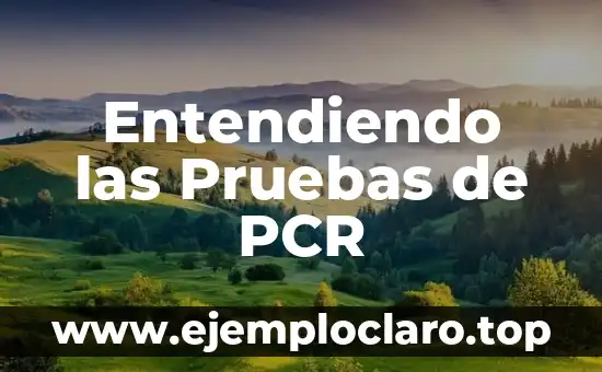 Bioenergética y Ansiedad: Entendiendo la Conexión Energética 4 Entendiendo las Pruebas de PCR