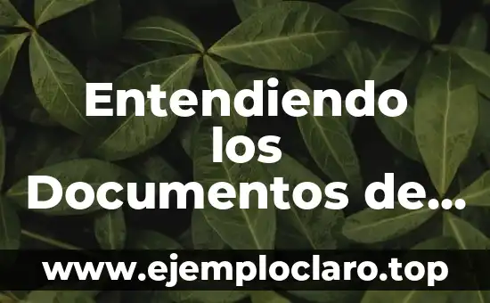 Capa de Abstracción de Hardware: Entendiendo su Función y Significado 8 Entendiendo los Documentos de Identificación Fiscal en la Tributación