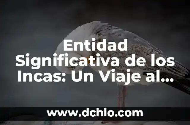 El significado de 'mundo' en ruso: Un viaje al corazón del lenguaje 8 Entidad Significativa de los Incas: Un Viaje al Corazón del Imperio Inca