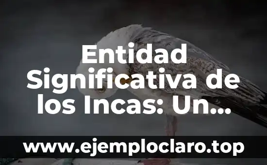 Entidad Significativa de los Incas: Un Viaje al Corazón del Imperio Inca