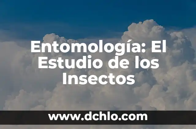 Técnicas de Estudio para Mejorar la Memoria 3 Entomología: El Estudio de los Insectos