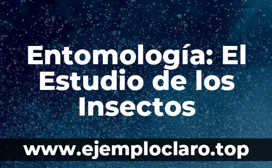 Entomología: El Estudio de los Insectos