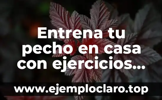 Remo con Mancuernas a Una Mano: Entrena tus Hombros y Espalda de Forma Efectiva 7 Entrena tu pecho en casa con ejercicios de pecho con mancuerna efectivos