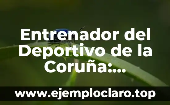 Entrenador del Deportivo de la Coruña: Historia y Éxitos del Club Gallego