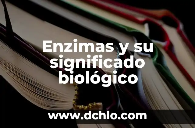 Significado Etimológico de Filosofía Brainly 4 Enzimas y su significado biológico