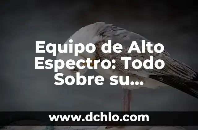 Significado Etimológico de Homo Habilis: Orígenes y Evolución del Término 4 Equipo de Alto Espectro: Todo Sobre su Significado y Aplicaciones