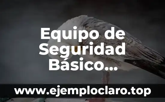 Equipo de Seguridad Básico Significado