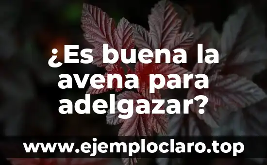 ¿Es buena la avena para adelgazar?