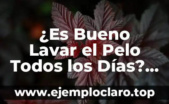 ¿Es Bueno Lavar el Pelo Todos los Días? Descubre la Verdad