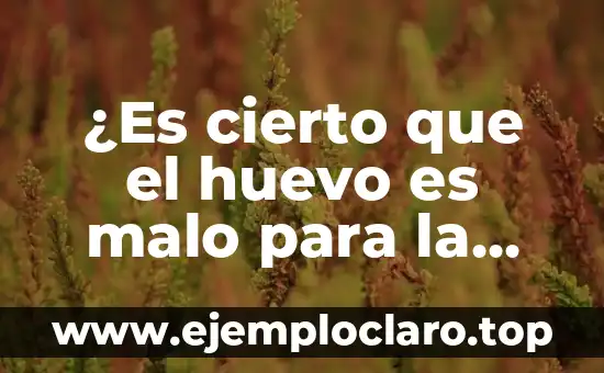 ¿Es cierto que el huevo es malo para la vesícula?