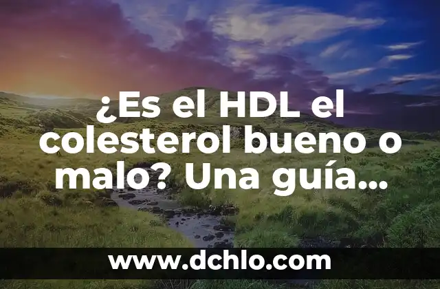 ¿Es el Colesterol LDL Bueno o Malo? Descubre la Verdad 5 ¿Es el HDL el colesterol bueno o malo? Una guía detallada sobre el colesterol HDL