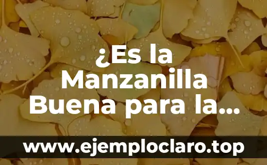 ¿Es la Manzanilla Buena para la Diarrea? – Propiedades y Beneficios