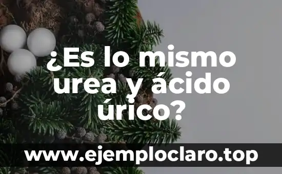 ¿Batata es lo mismo que Boniato? Descubre la verdad 5 ¿Es lo mismo urea y ácido úrico?