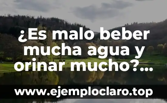 ¿Es malo beber mucha agua y orinar mucho? Descubre la verdad