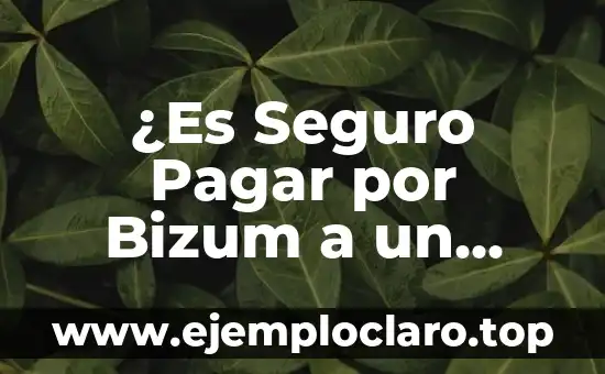 ¿Es Seguro Pagar por Bizum a un Desconocido?