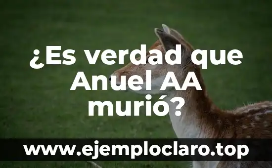 ¿Es verdad que Anuel AA ha muerto? Desmintiendo los rumores sobre la muerte del artista 7 ¿Es verdad que Anuel AA murió?