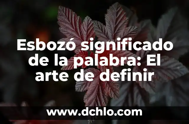 El Esbozo del Sentido de la Existencia 3 Esbozó significado de la palabra: El arte de definir