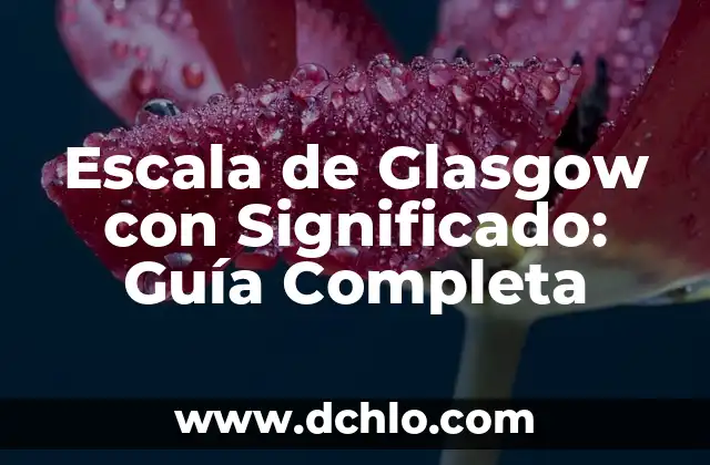 El Significado del Origami: Un Arte Tradicional Japonés 4 Escala de Glasgow con Significado: Guía Completa