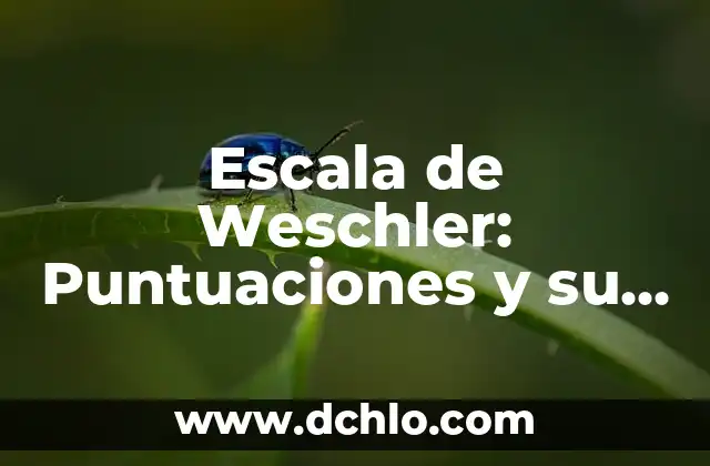 El Significado Etimológico de la Antropología Filosófica 6 Escala de Weschler: Puntuaciones y su significado