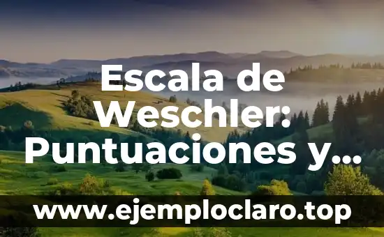 Escala de Weschler: Puntuaciones y su significado