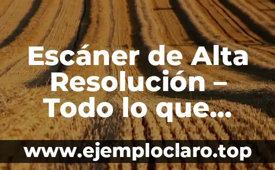 Escáner de Alta Resolución – Todo lo que Necesitas Saber