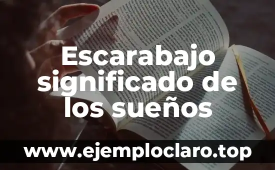 Escarabajo significado de los sueños