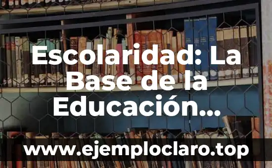 El Significado de la Lógica Formal: Una Guía Completa 6 Escolaridad: La Base de la Educación Formal