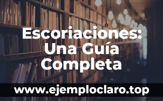 Tipos de Articulaciones Según su Movimiento: Una Guía Completa 6 Escoriaciones: Una Guía Completa