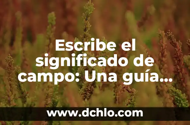 Valores Normales de Azúcar en Sangre: Guía Completa y Actualizada 4 Escribe el significado de campo: Una guía completa