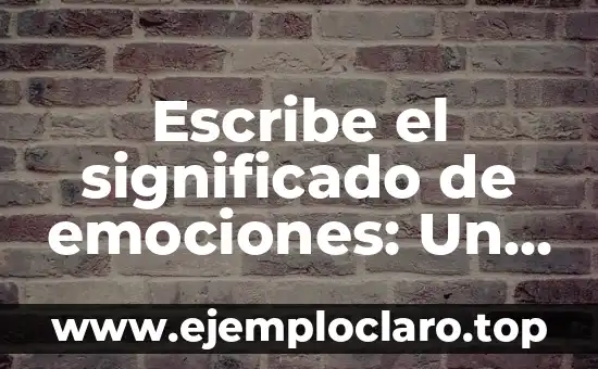 Escribe el significado de emociones: Un viaje al corazón de nuestras sensaciones