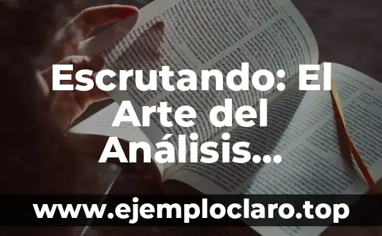 Escrutando: El Arte del Análisis Exhaustivo