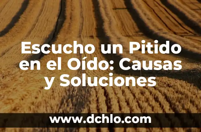 ¿Qué es Escuchar un Zumbido en el Oído? - Causas, Síntomas y Tratamientos 7 Escucho un Pitido en el Oído: Causas y Soluciones