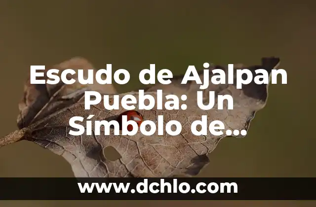 Escudo de Álvaro Obregón Significado 7 Escudo de Ajalpan Puebla: Un Símbolo de Identidad