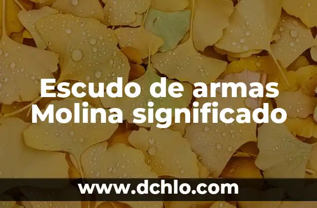 El Escudo de la Inquisición: Un Análisis Histórico 7 Escudo de armas Molina significado