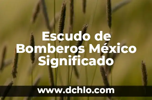 El Significado Espiritual de las Enfermedades: Un Enfoque Holístico 4 Escudo de Bomberos México Significado