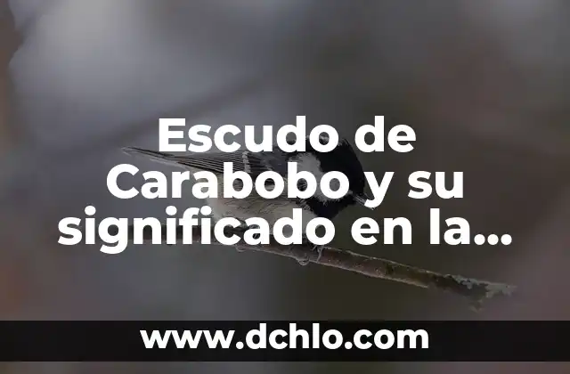 Escudo y significado de Jalisco 4 Escudo de Carabobo y su significado en la actualidad