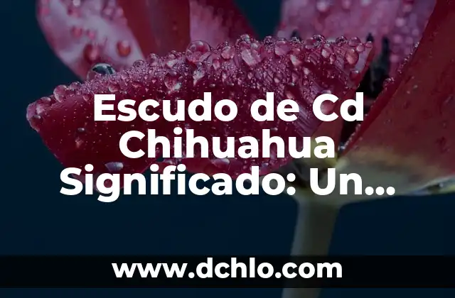 ¿Cuál es el significado de Panda? 8 Escudo de Cd Chihuahua Significado: Un Símbolo de Identidad