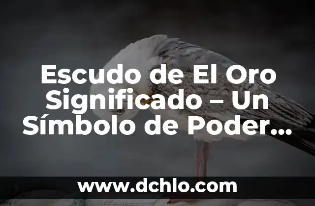 Cantantes de los 90 en Español - Una Época de Oro de la Música Latina 3 Escudo de El Oro Significado – Un Símbolo de Poder y Riqueza