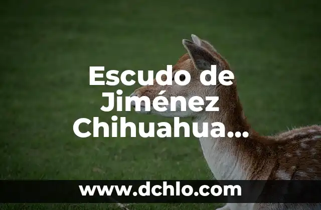 Escudo de Guanajuato: Un Símbolo de Identidad y Significado 8 Escudo de Jiménez Chihuahua Significado