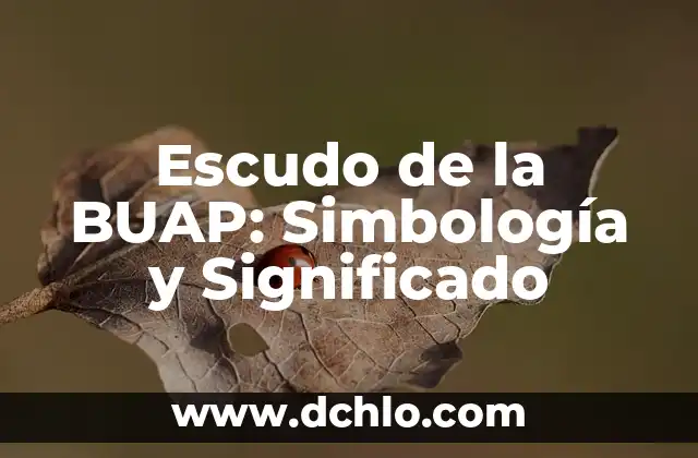 El Significado del Esperma en las Velas: Un Análisis Esotérico 4 Escudo de la BUAP: Simbología y Significado