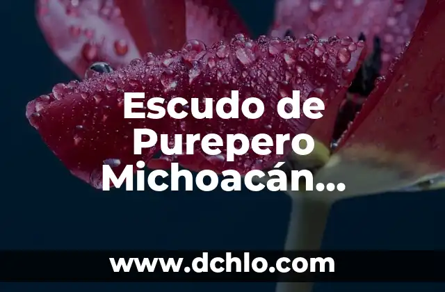 Cual es el significado de PROI 4 Escudo de Purepero Michoacán Significado