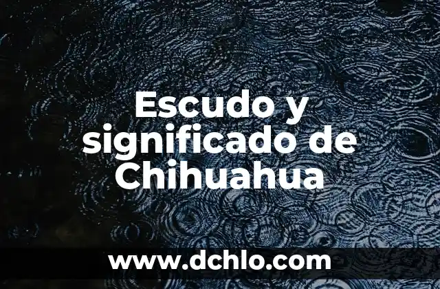 ¿Cuál es el significado de Panda? 5 Escudo y significado de Chihuahua