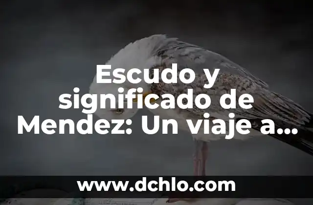 Etimología y significado de antónimo: Un viaje a través del lenguaje 6 Escudo y significado de Mendez: Un viaje a través de la heráldica familiar