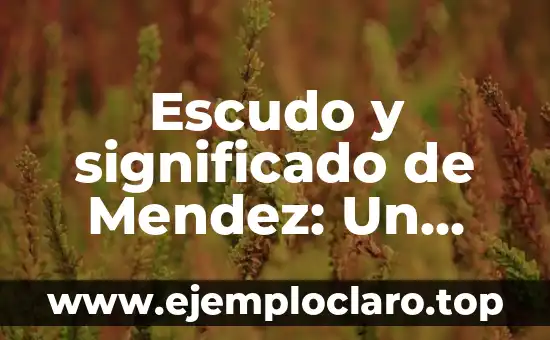 Escudo y significado de Mendez: Un viaje a través de la heráldica familiar