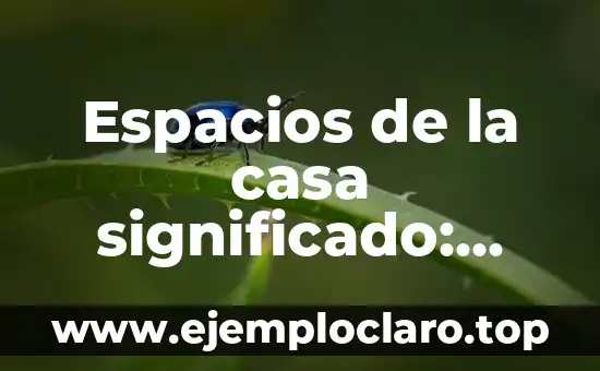 Espacios de la casa significado: Descubriendo las áreas domésticas