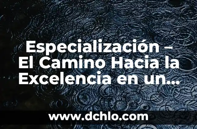 El significado de la vida: Un viaje hacia la comprensión 5 Especialización – El Camino Hacia la Excelencia en un Campo Específico