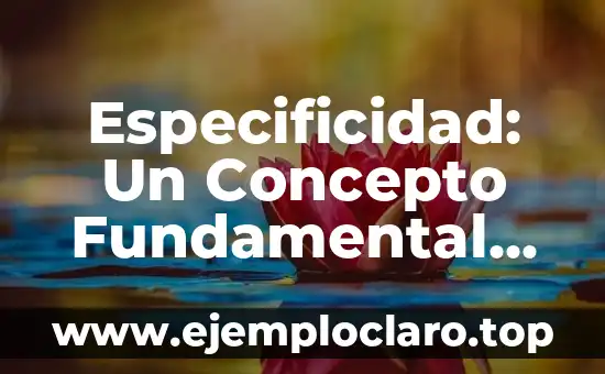 Alando: Un Concepto Esencial en Diversas Disciplinas 7 Especificidad: Un Concepto Fundamental en Diversas Disciplinas
